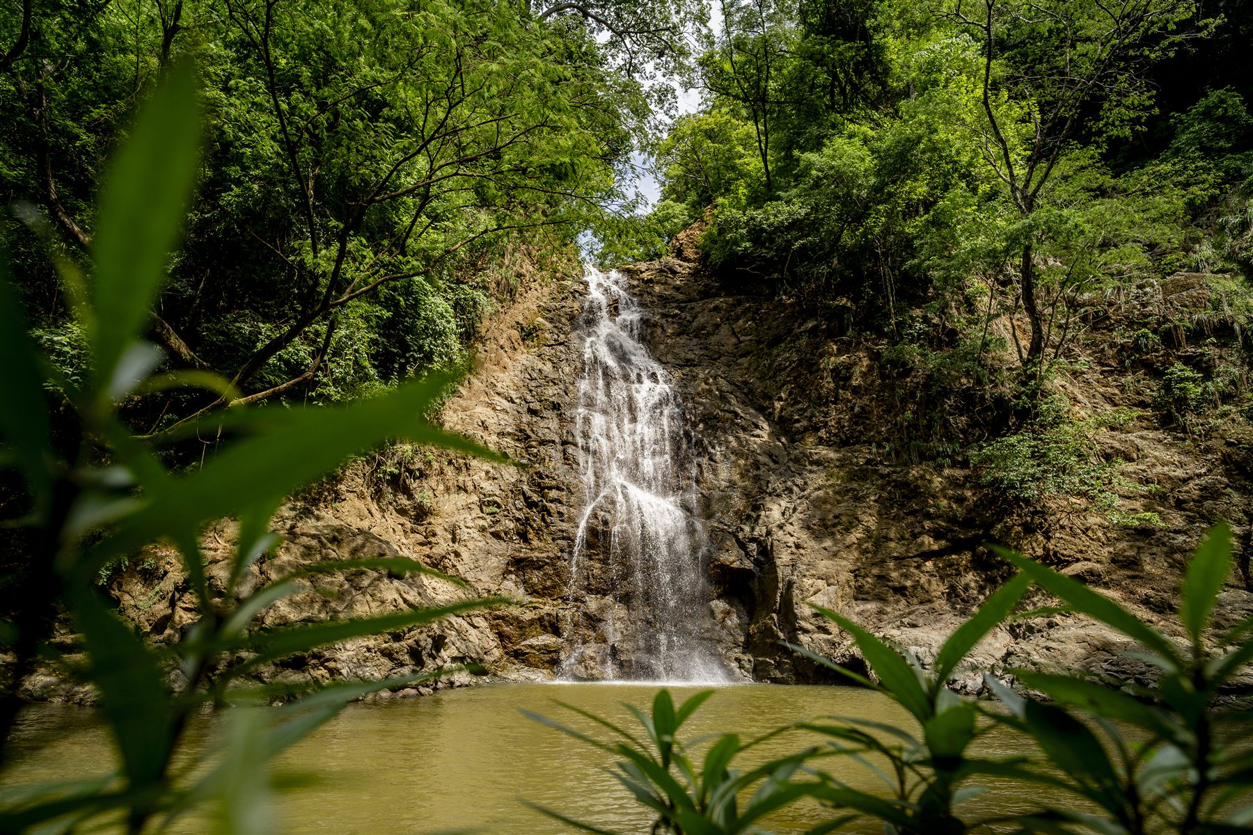 Santiago Gazaba — Costa Rica 04