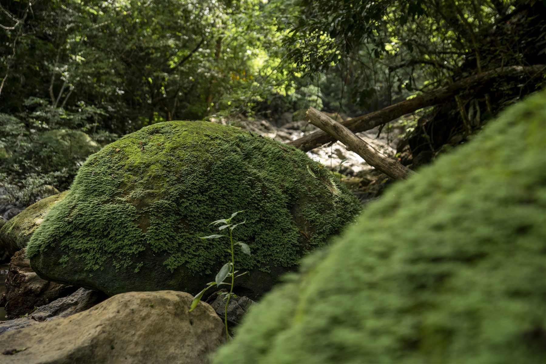 Santiago Gazaba — Costa Rica 09