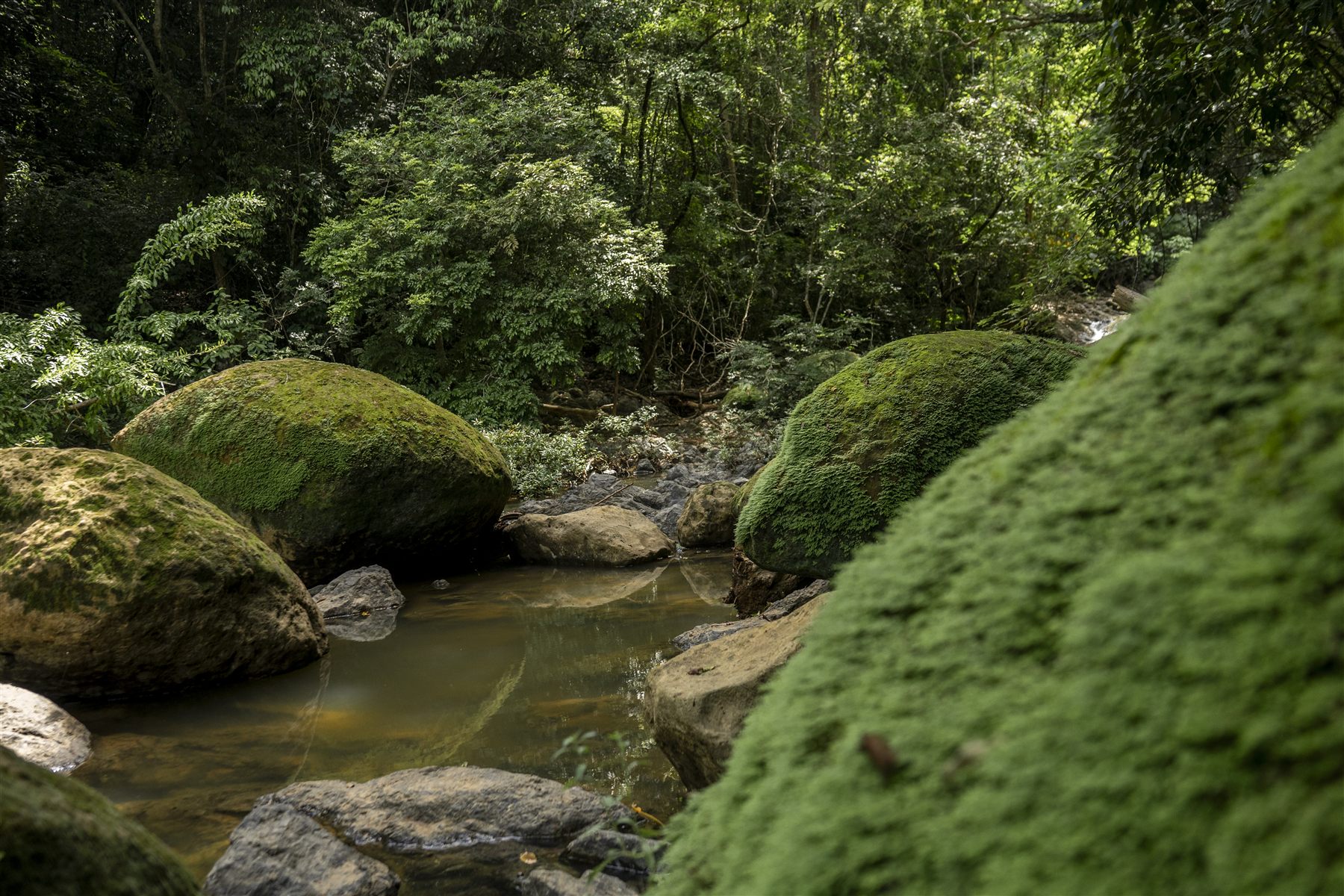 Santiago Gazaba — Costa Rica 10