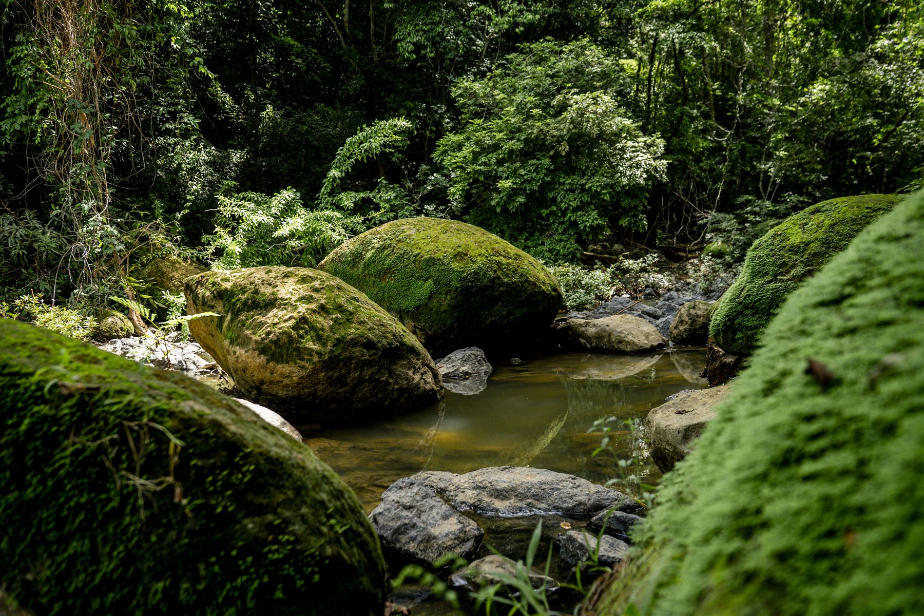 Santiago Gazaba — Costa Rica 11